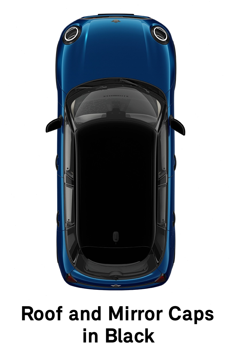  MINI - equipment - favoured style roof in black