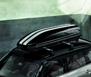 Mini top cargo box